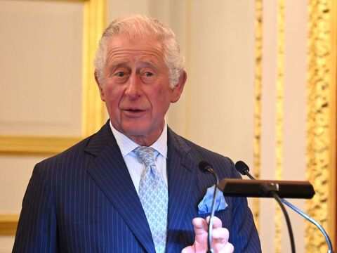 Prinz Charles steht vor einem Rednerpult
