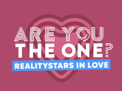 Logo von "Are You the One – Reality Stars in Love"
