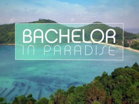 "Bachelor in Paradise"-Logo.