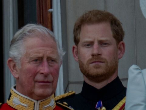 König Charles III. und Prinz Harry schauen in die Ferne.