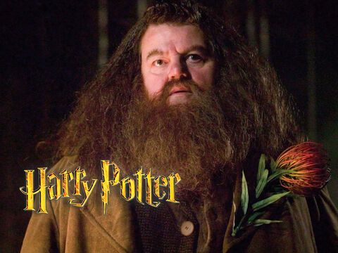 Hagrid in "Harry Potter"