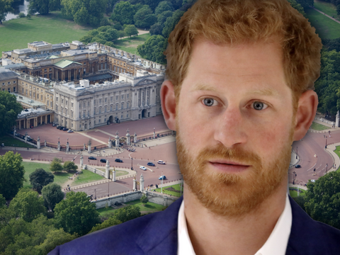 Prinz Harry erstaunt - im Hintergrund der Buckingham-Palast
