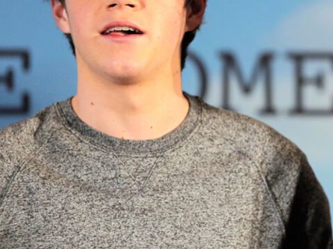 One-Direction-Star Niall Horan ist mit einem Schrecken davongekommen: Sein Auto krachte in die Leitplanke