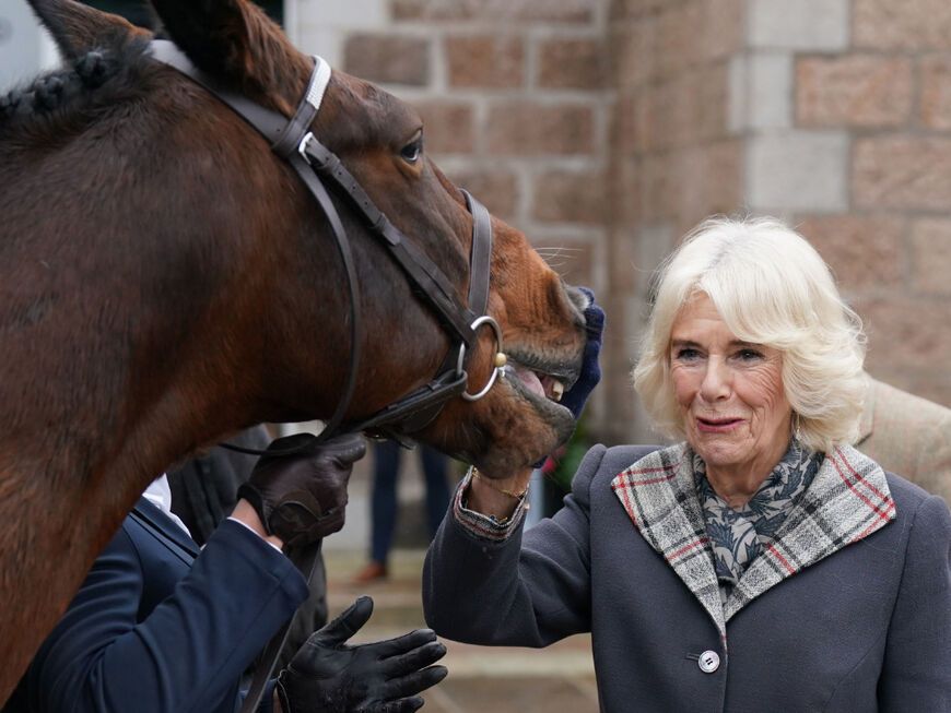 Camilla streichelt begeistert ein Pferd 