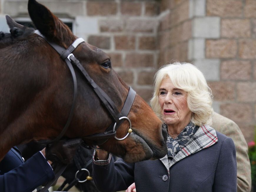 Queen Consort Camilla und ein Pferd. 