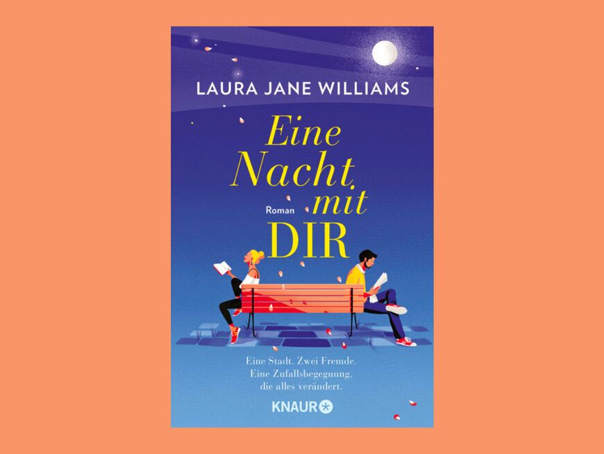 Buchcover "Eine Nacht mit Dir" von Laura Jane Williams