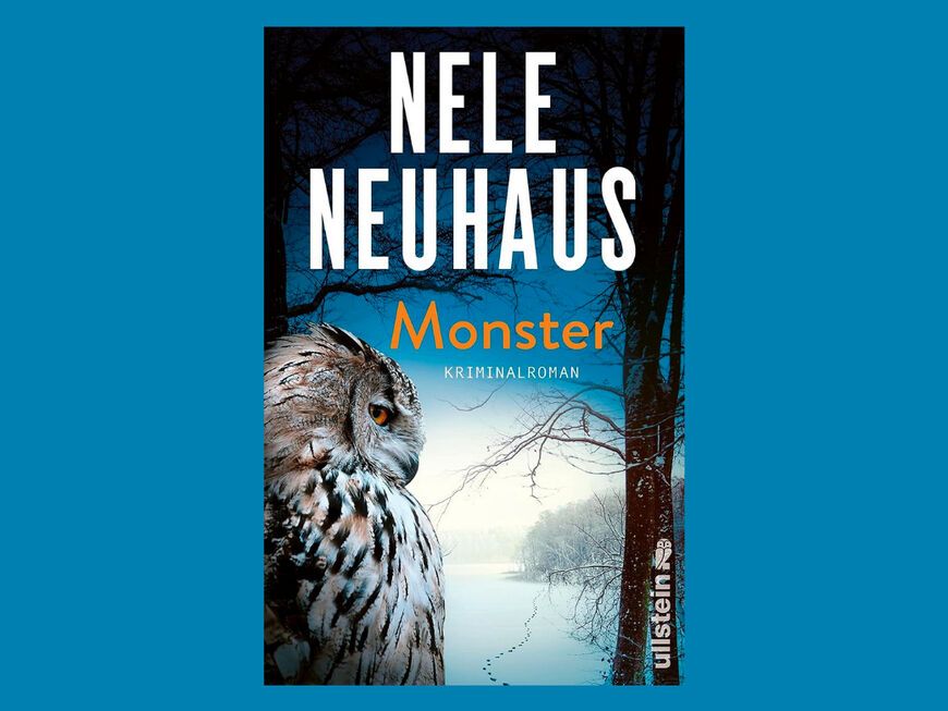 Buchcover "Monster" von Nele Neuhaus