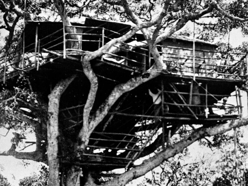 Treetops Lodge in Kenia. 