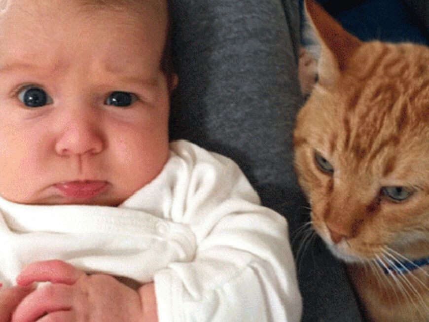 Dieses Foto ihrer kleinen Tochter twitterte Hannigan - und kommentierte: "Könnte es sein, dass Keeya kein Katzenmensch ist?"