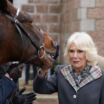 Camilla streichelt begeistert ein Pferd 