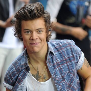Harry Styles grinst mit geschlossenen Lippen 2013