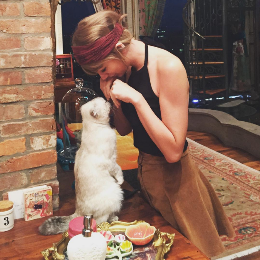 Miau So Erobert Drake Das Herz Von Taylor Swift Ok Magazin