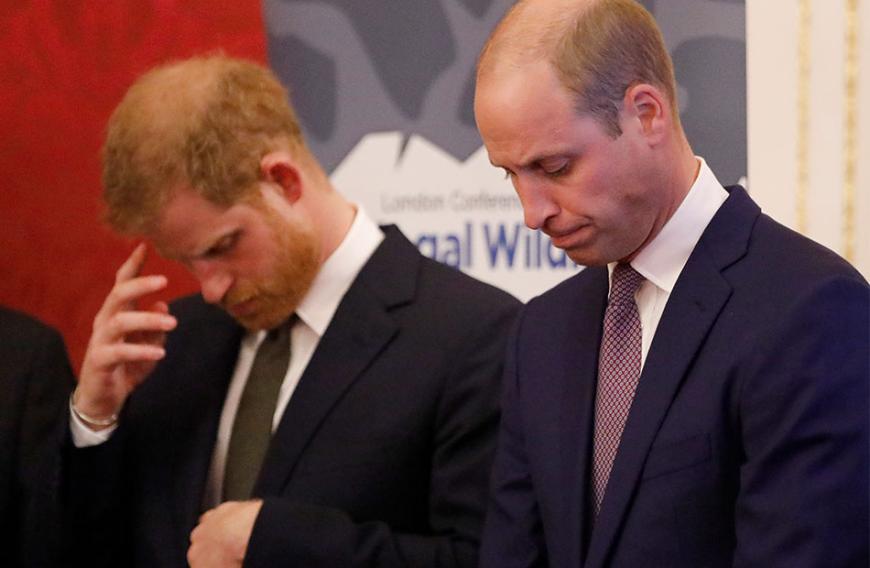 Prinz William Prinz Harry Endgultige Trennung Der Bruder