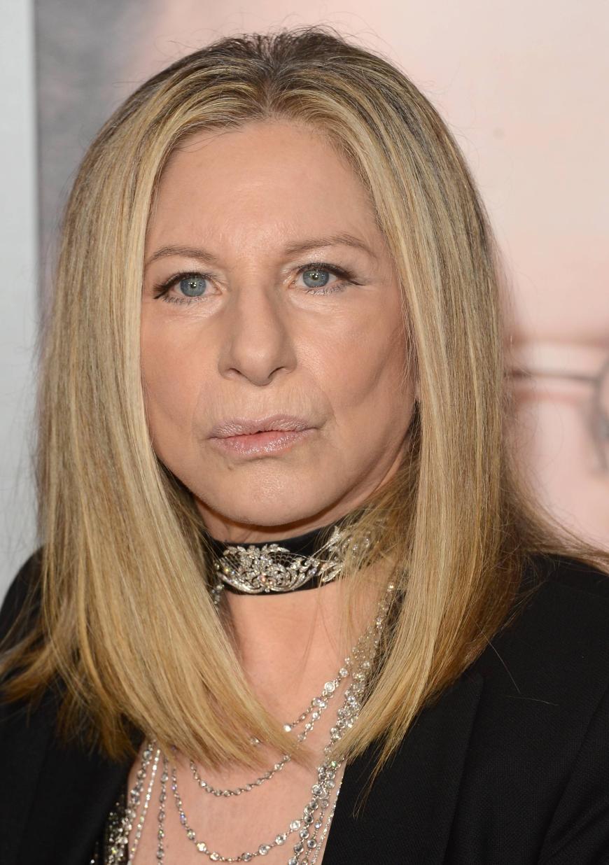 barbra streisand sauer auf karriere hoch ihres ehemanns