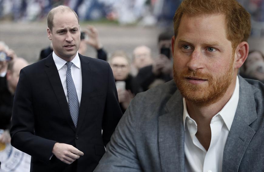 Prinz William Prinz Harry Damit Hat Niemand Gerechnet