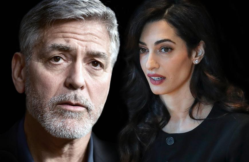 Amal George Clooney Wundervolle Neuigkeiten