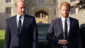 Prinz Harry und Prinz William zeigen sich trauernden Royal-Gästen in Windsor nach dem Tod von Königin Elizabeth II-