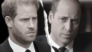 Prinz Harry und Prinz William ernst 