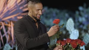 "Der Bachelor" 2023 David Jackson verteilt Rosen