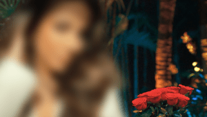 Jennifer Saro blurred, Strauß Rosen im Hintergrund