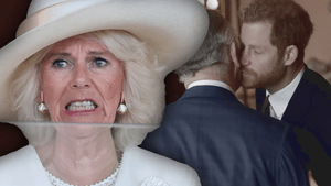 Montage: Queen Camilla entsetzt - König Charles und Prinz Harry küssen sich 