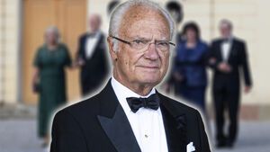 König Carl Gustaf von Schweden sieht in die Kamera, im Hintergrund ein verschwommenes Bild seiner Gäste