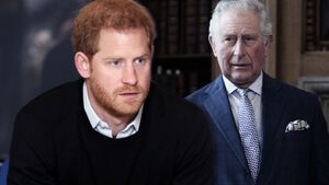 Prinz Harry schaut ängstlich Charles schaut böse 