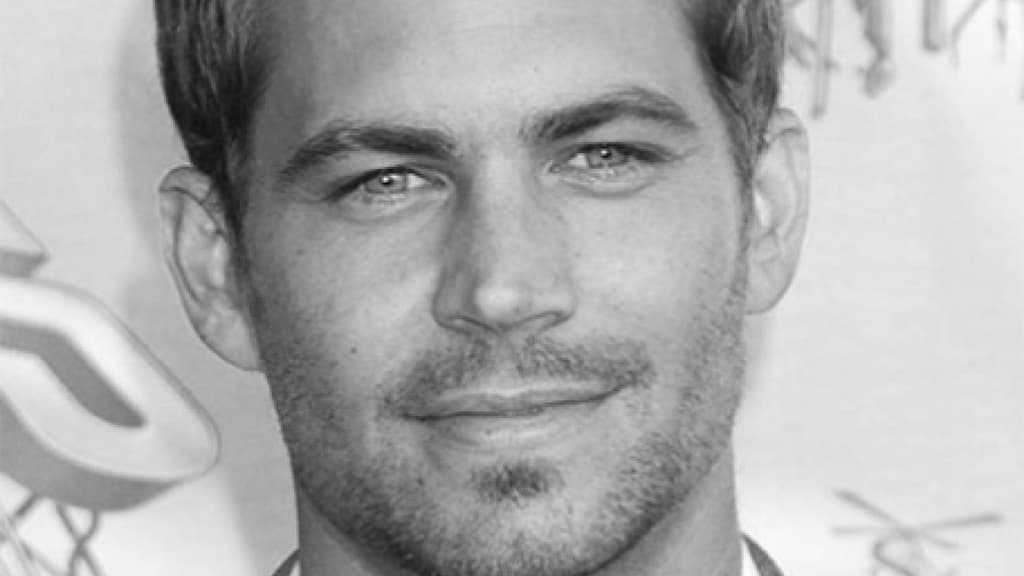 Paul Walker starb bei einem tragischen Verkehrsunfall