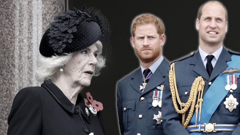 Queen Consort Camilla, Prinz Harry und Prinz William.
