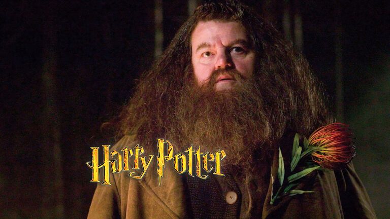 Hagrid in "Harry Potter"