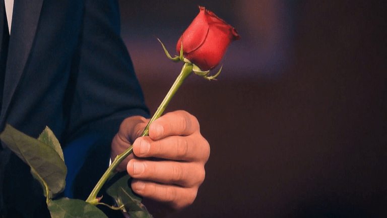 Der Bachelor nimmt eine Rose in die Hand